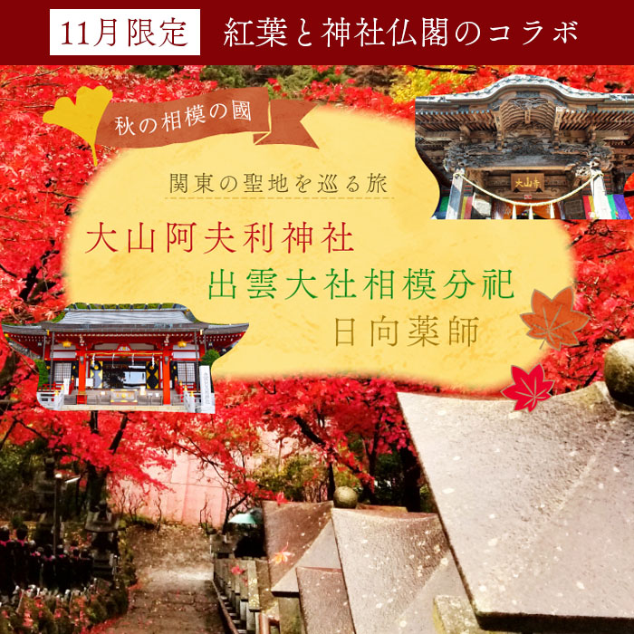 [11月下旬～] 紅葉と神社仏閣のコラボ 